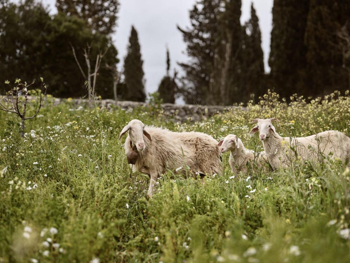 Alkis Farm And Residence Gyri Bagian luar foto
